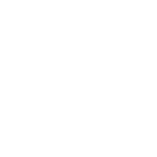 CONSUMIVEIS